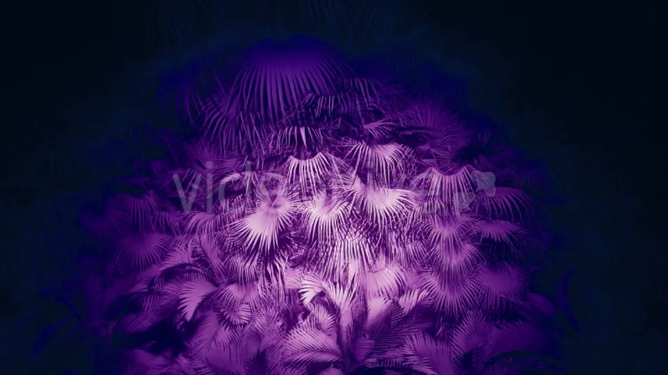 Jungle Palms 05 HD - Download Videohive 20433842