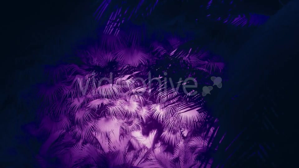 Jungle Palms 05 HD - Download Videohive 20433842