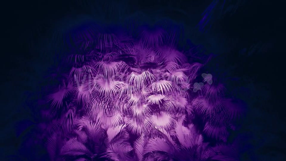 Jungle Palms 05 HD - Download Videohive 20433842