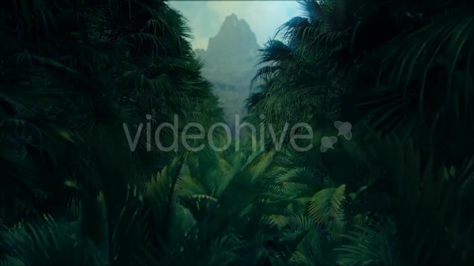 Jungle Palms 4K - Download Videohive 20384114