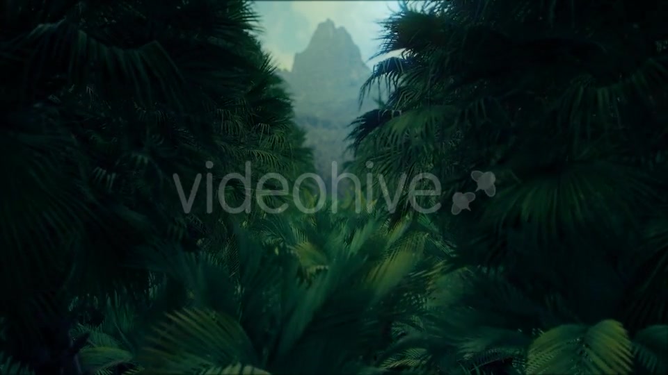 Jungle Palms 4K - Download Videohive 20384114