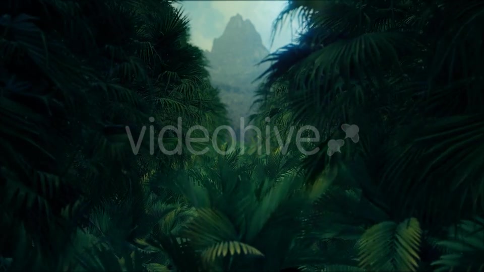 Jungle Palms 4K - Download Videohive 20384114