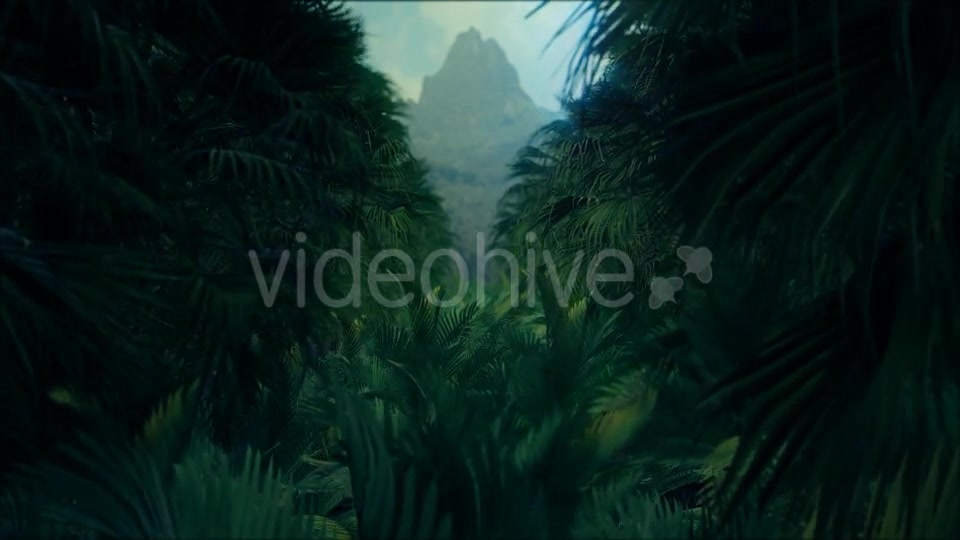 Jungle Palms 4K - Download Videohive 20384114