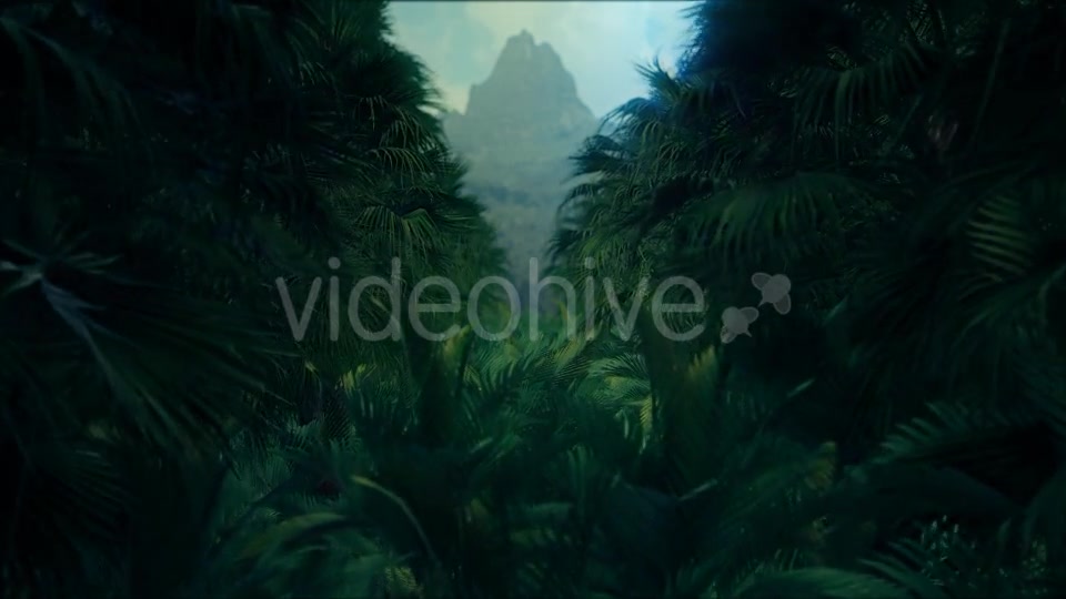 Jungle Palms 4K - Download Videohive 20384114