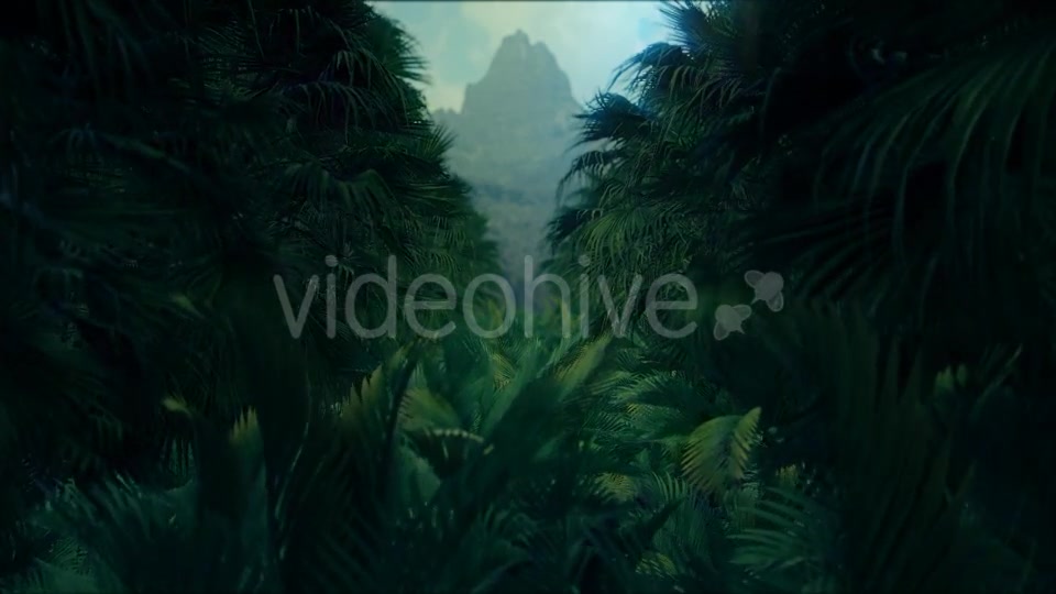 Jungle Palms 4K - Download Videohive 20384114