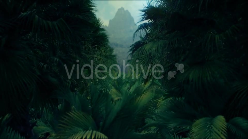 Jungle Palms 4K - Download Videohive 20384114