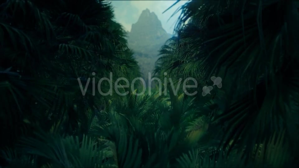 Jungle Palms 4K - Download Videohive 20384114