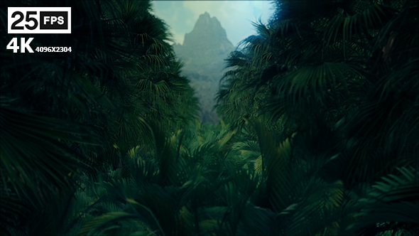 Jungle Palms 4K - Download Videohive 20384114