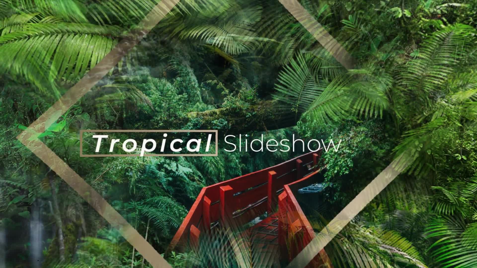 Jungle Tropical Slideshow Videohive 40108191 After Effects Image 1