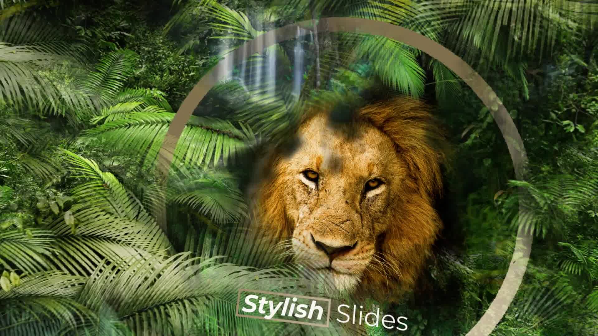 Jungle Tropical Slideshow Videohive 40108191 After Effects Image 10