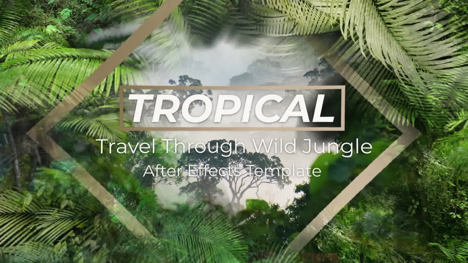 Jungle Tropical Slideshow Videohive 40108191 After Effects Image 12