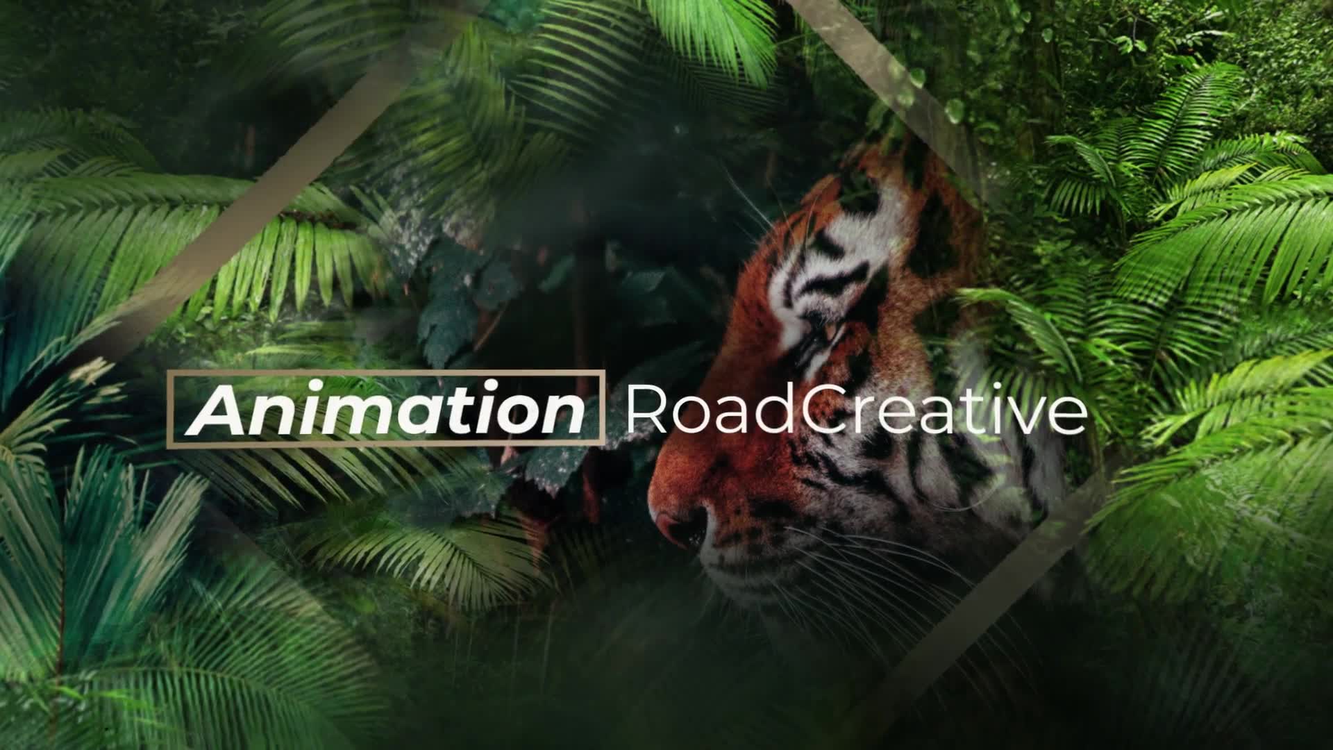 Jungle Tropical Slideshow Videohive 40108191 After Effects Image 2