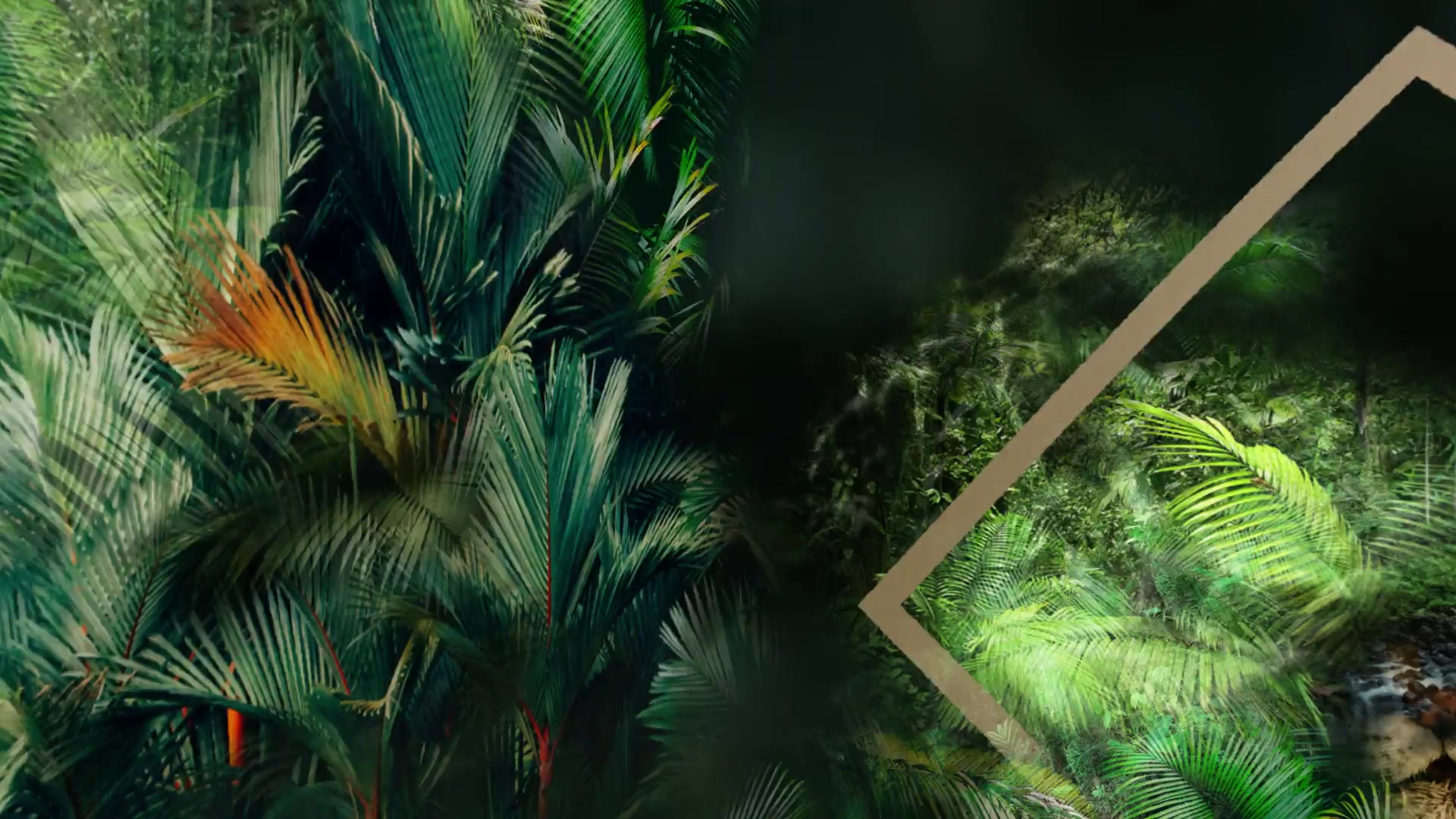 Jungle Tropical Slideshow Videohive 40108191 After Effects Image 4