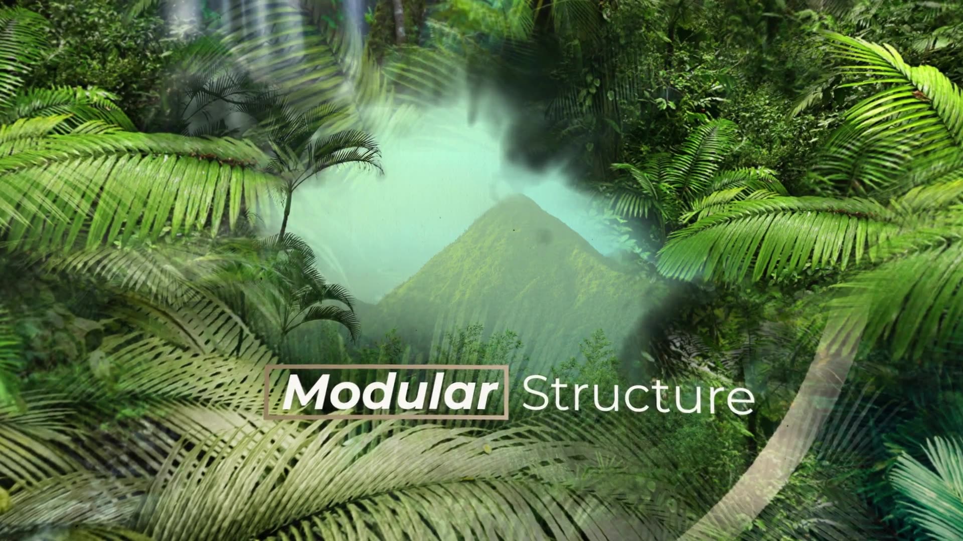 Jungle Tropical Slideshow Videohive 40108191 After Effects Image 6