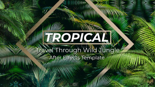 Jungle Tropical Slideshow - Download Videohive 40108191