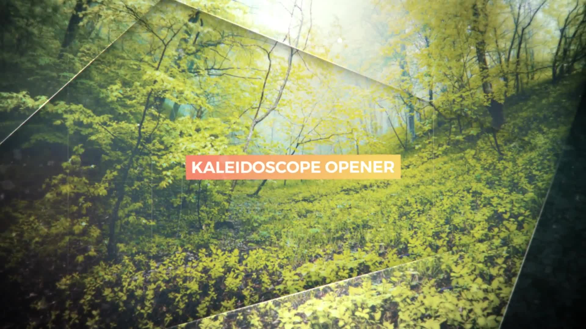 Kaleidoscope Promo Videohive 22899219 After Effects Image 12