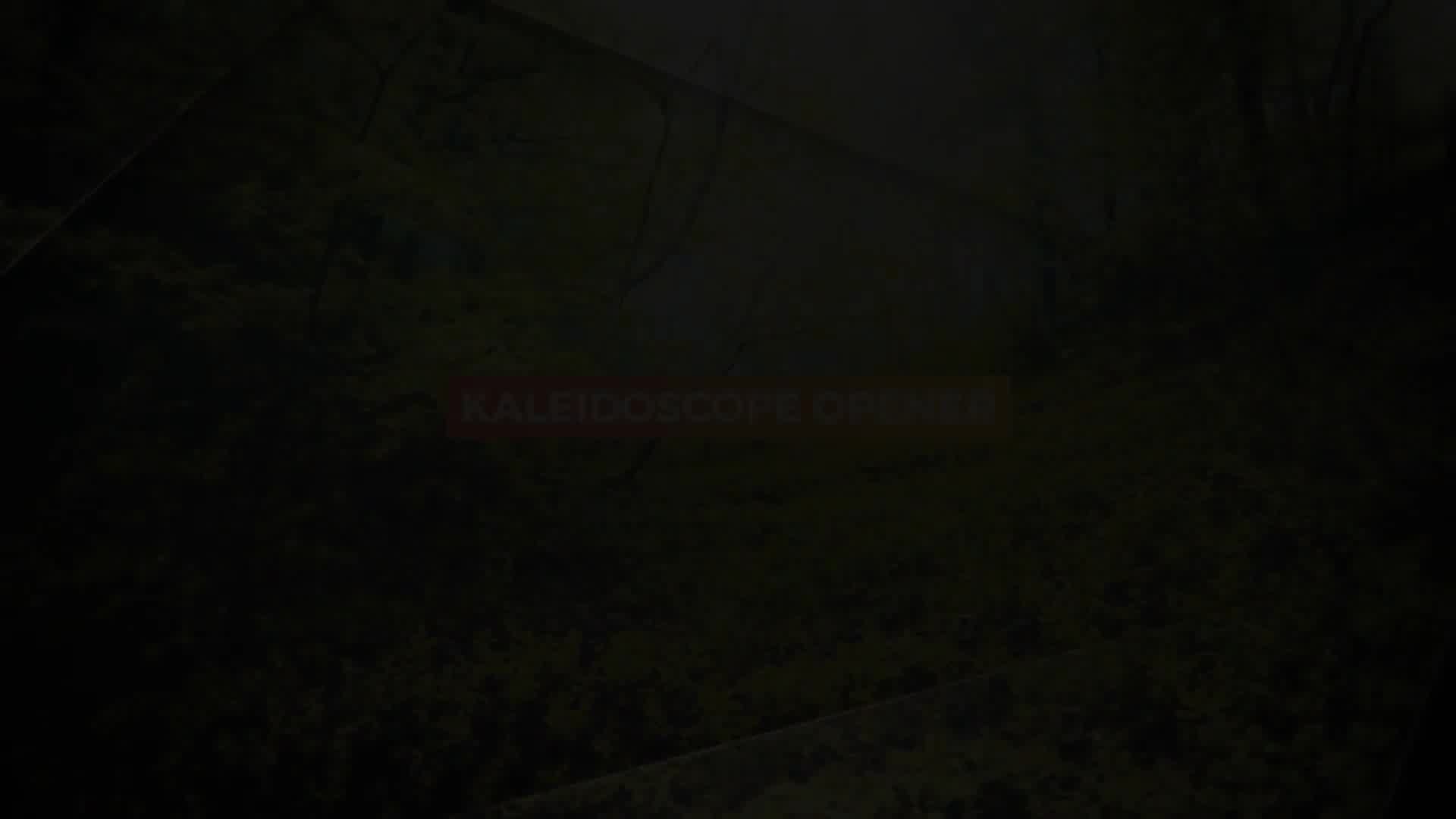 Kaleidoscope Promo Videohive 22899219 After Effects Image 13