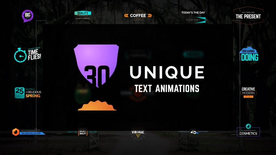 Kinetic Text Animations - Download Videohive 19884934