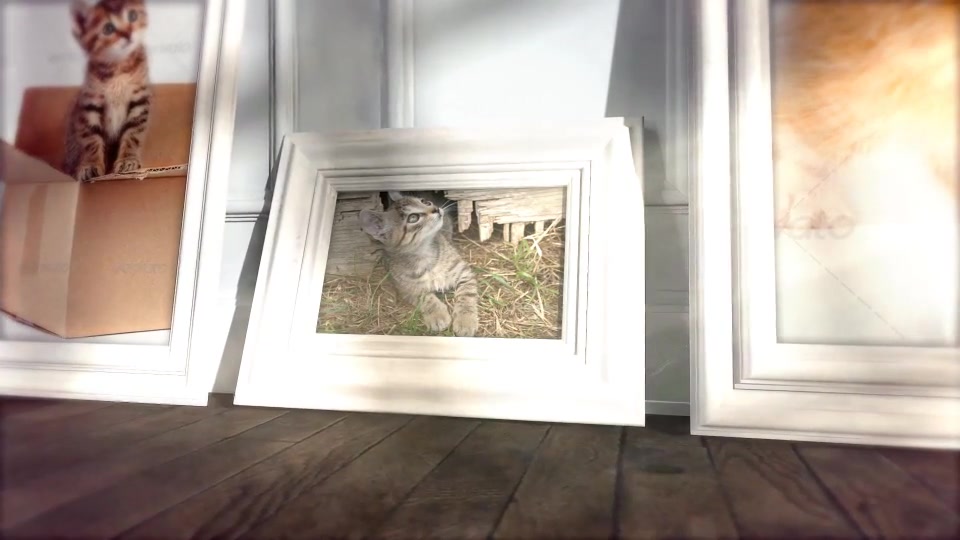 Kitten Loft - Download Videohive 14787460