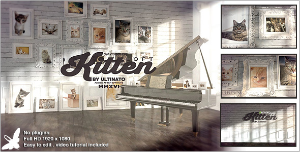 Kitten Loft - Download Videohive 14787460