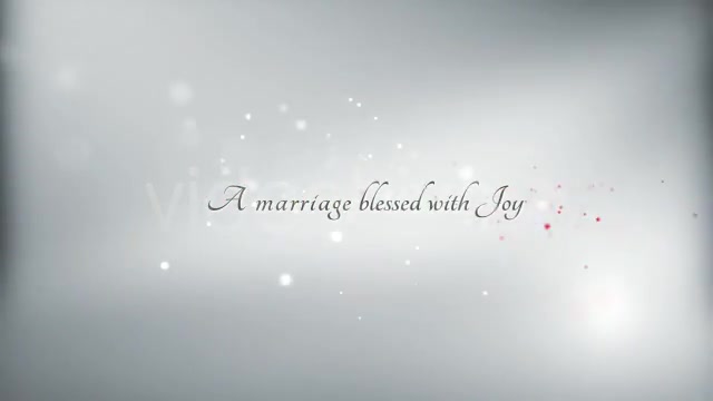 La Vie en Rose Wedding template - Download Videohive 542940