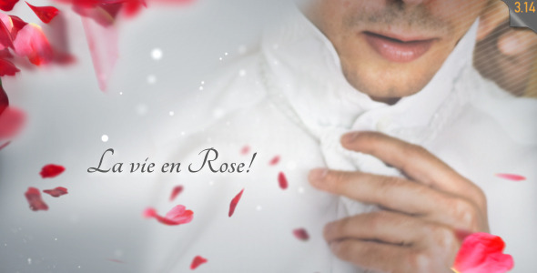 La Vie en Rose Wedding template - Download Videohive 542940