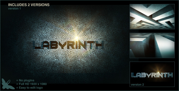 Labyrinth Logo - Download Videohive 5141040