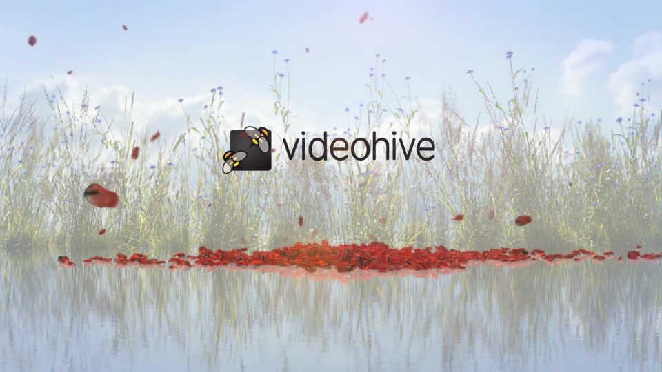 Landing Butterfly Logo Reveal Videohive 26501632 After Effects Image 6