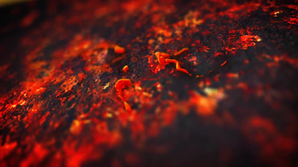 Lava | Fire Logo Videohive 19210247 After Effects Image 2