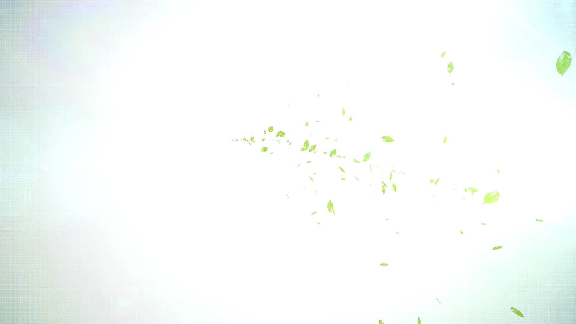 Leaf Logo Reveal Videohive 28999304 After Effects Image 7