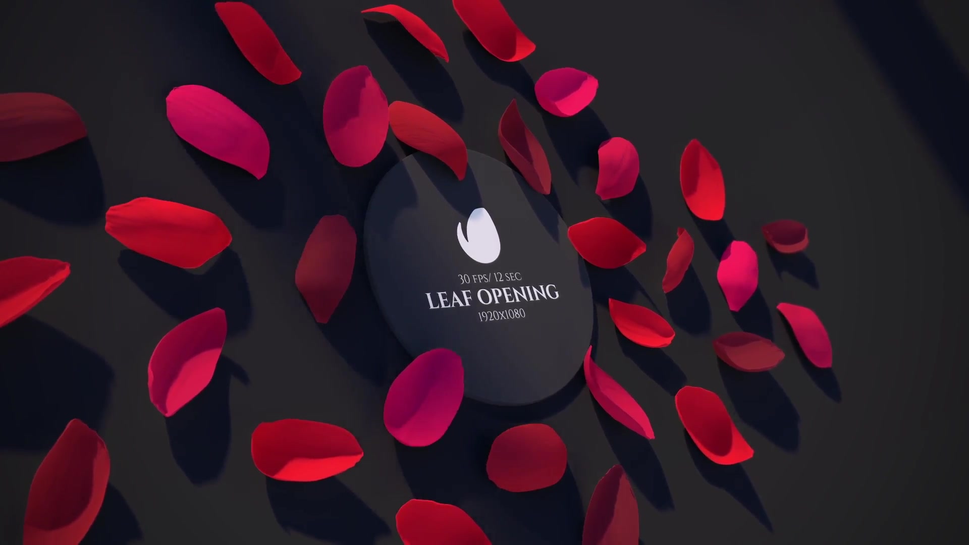Leaf Romantic Opener Videohive 25624324 After Effects Image 5
