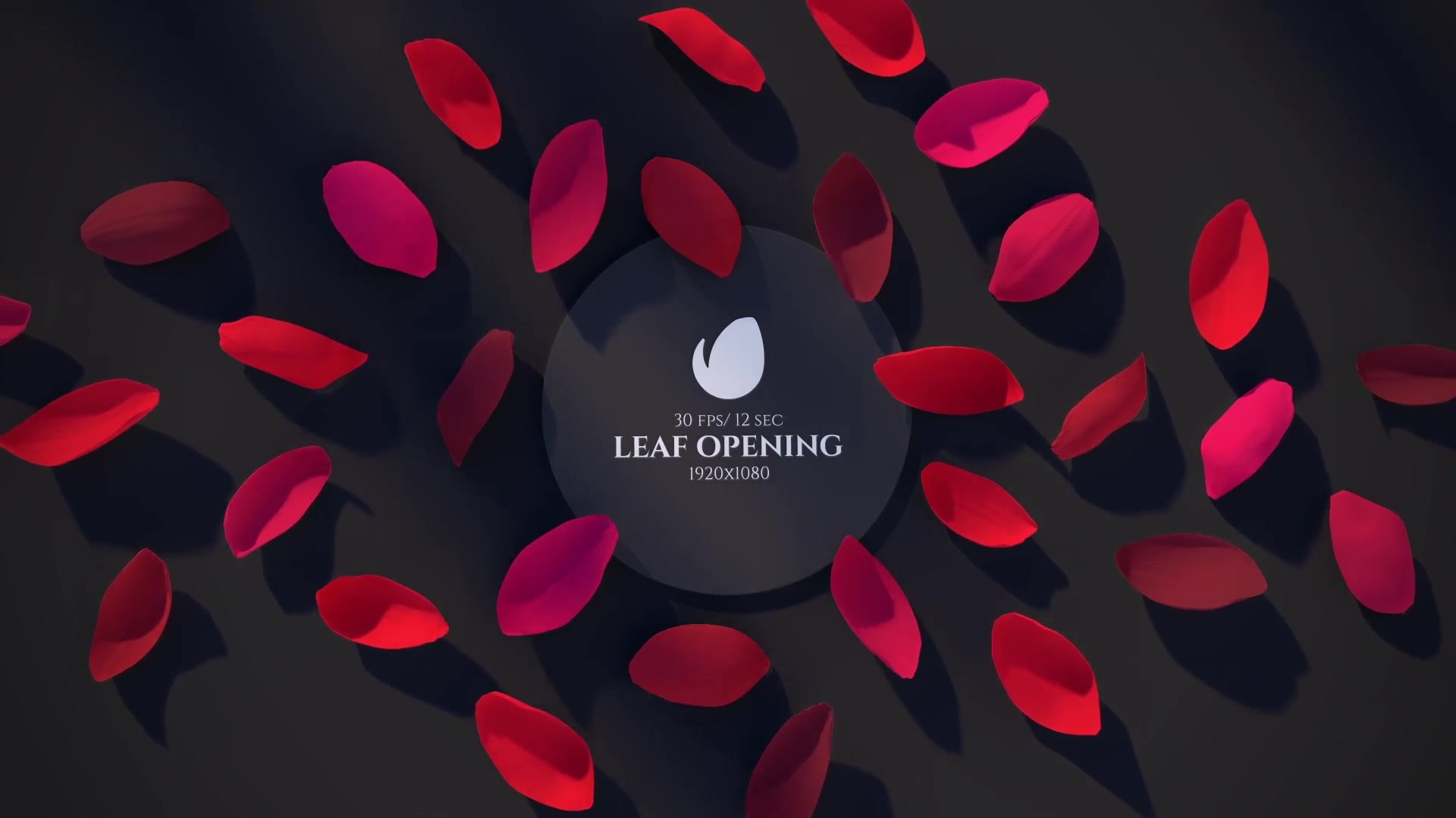 Leaf Romantic Opener Videohive 25624324 After Effects Image 6