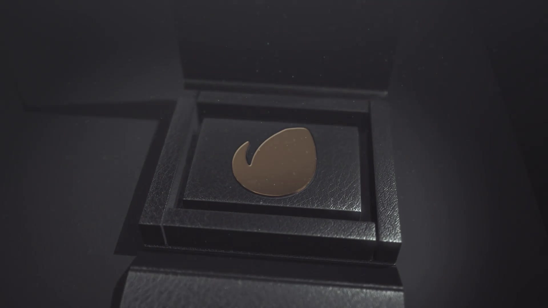 Leather Box Intro Videohive 27672976 After Effects Image 5