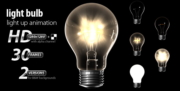 Light bulb (light up sequence) - Download Videohive 142391