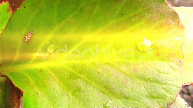 Light Glow Flares Transitions Videohive 650078 Motion Graphics Image 4