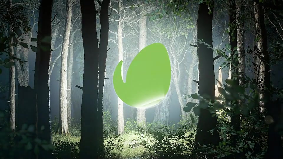 Light In The Forest Videohive 45909179 After Effects Image 5