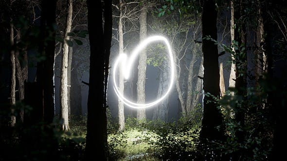 Light In The Forest - Download 45909179 Videohive