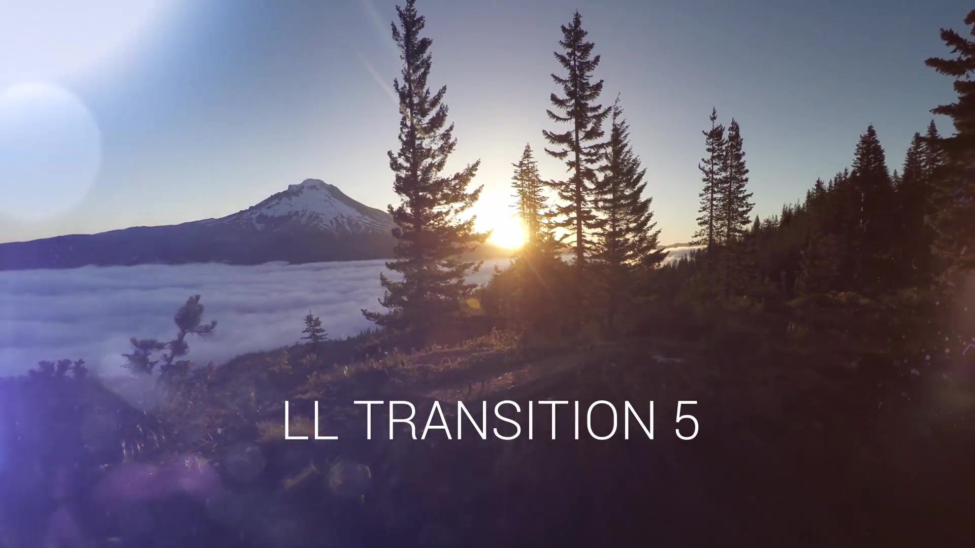 Light Leaks Transitions - Download Videohive 20404835