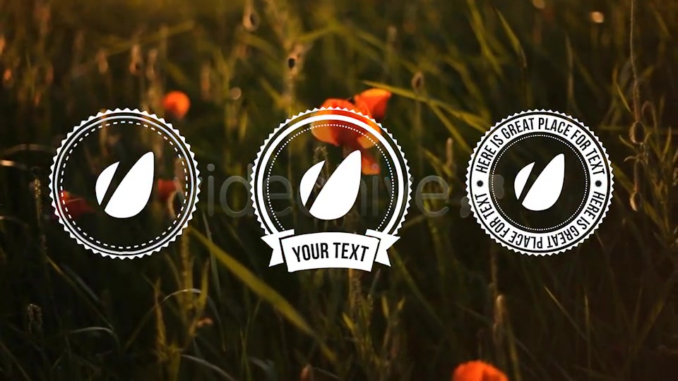 Light Vintage // Lower Thirds Pack Videohive 4288189 After Effects Image 11