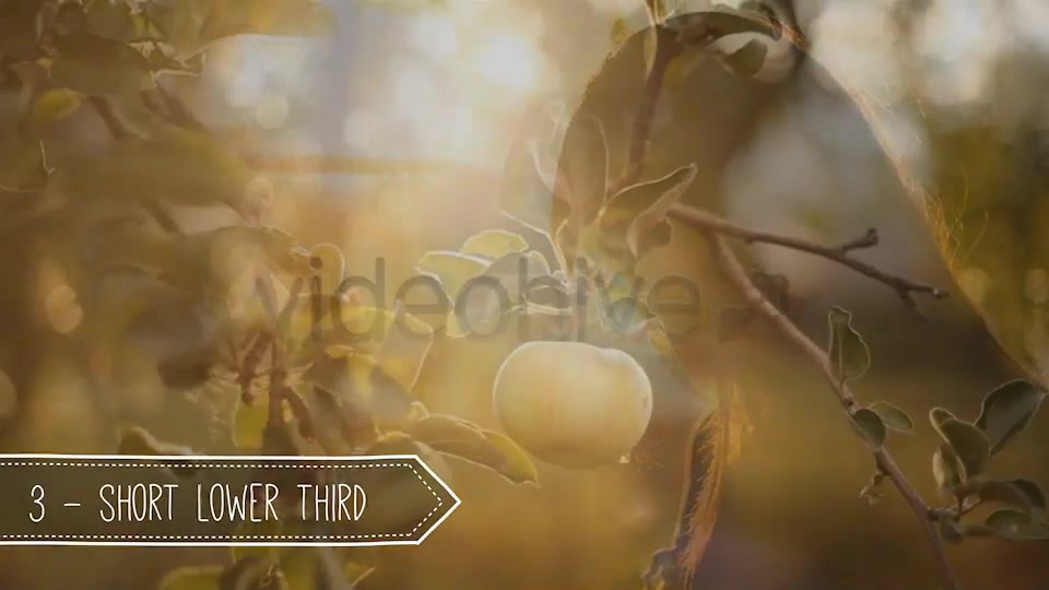 Light Vintage // Lower Thirds Pack Videohive 4288189 After Effects Image 5