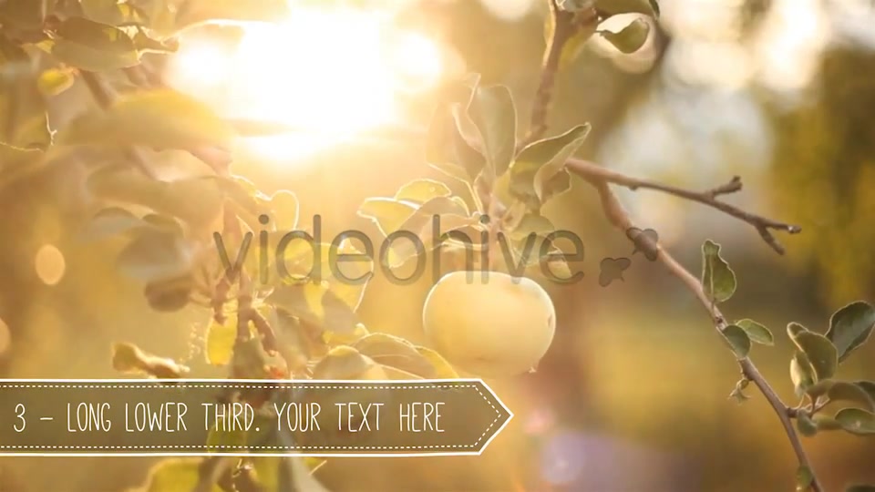 Light Vintage // Lower Thirds Pack Videohive 4288189 After Effects Image 6