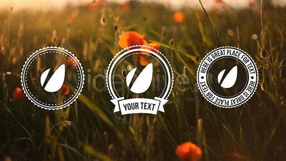 Light Vintage // Lower Thirds Pack - 4288189 Videohive Download
