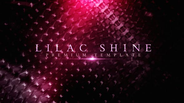Lilac Shine - 25151668 Videohive Download