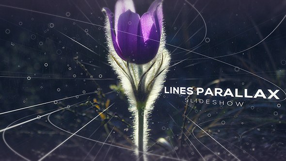 Lines Parallax Slideshow - Download Videohive 19209185