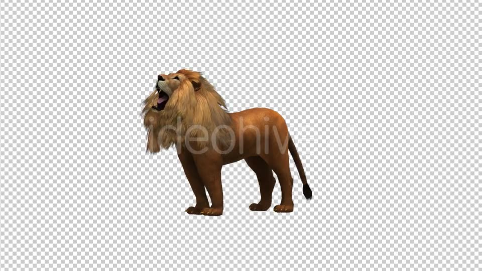 Lion Roar - Download Videohive 21180110