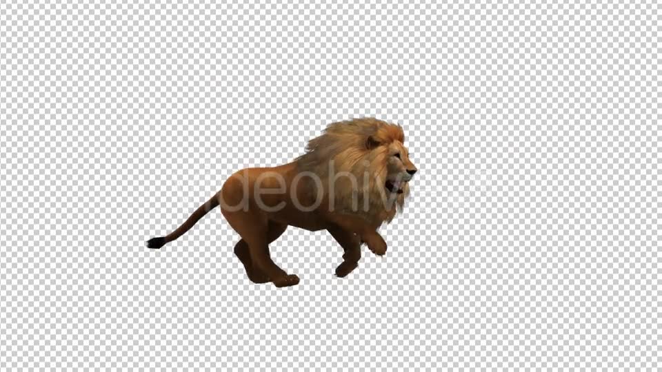 Lion Run - Download Videohive 21180005