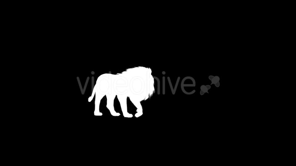 Lion Silhouettes 5 Pack - Download Videohive 21223369