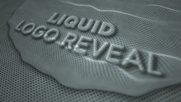 Liquid Logo Reveal - Download Videohive 3211322