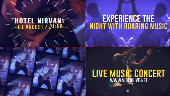 Live Music Concert - Download Videohive 21047996