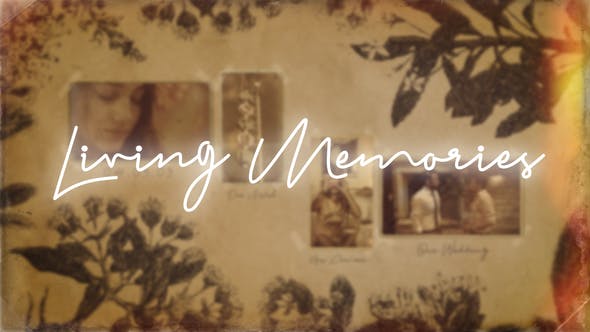 Living Memories - Download Videohive 22423493